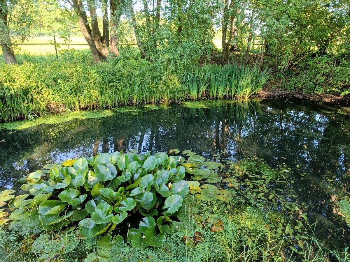 Natuurlijk Leuk Sterksel Экстерьер фото